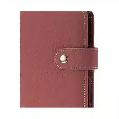 Qiajian Passport Holder