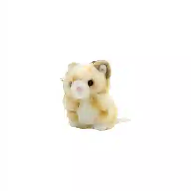 TAKENOKO 6CM