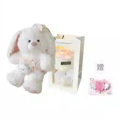 PUDOWRABBIT 25cm35cm