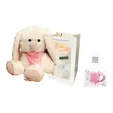 PUDOWRABBIT 25cm35cm