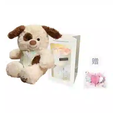 PUDOWRABBIT 25cm35cm