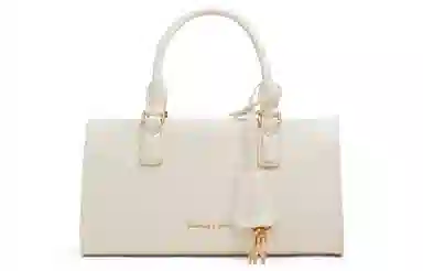Charles & Keith Handbag