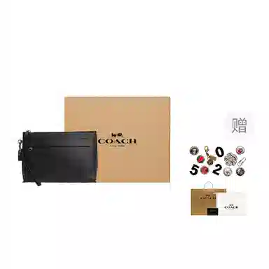 COACH Pouch 29 Black