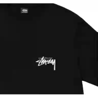 Stussy Coastline Tee