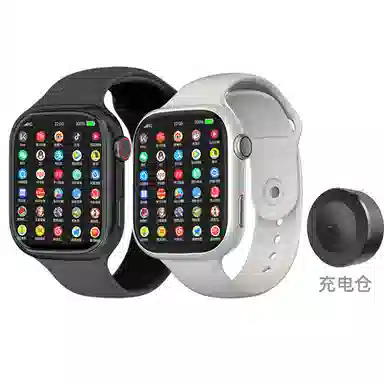 LEAPRUNAPPLP-DM60