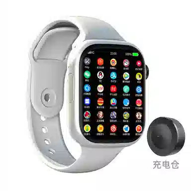 LEAPRUNAPPLP-DM60