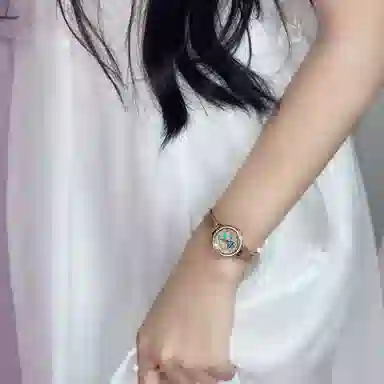 FAIRWHALE ins FW-3200-1