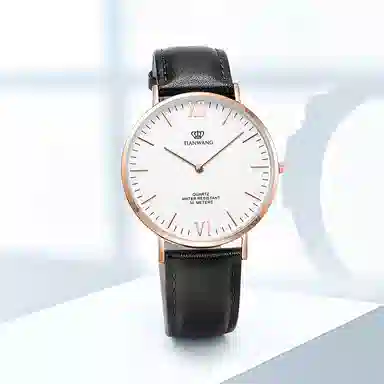 TIANWANGTWINKLE GS3851