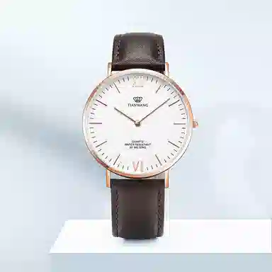 TIANWANGTWINKLE GS3851