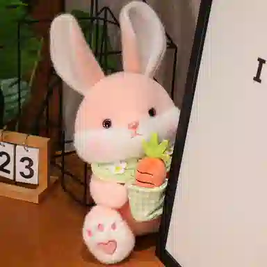 30cm40cm55cm65cm110cm