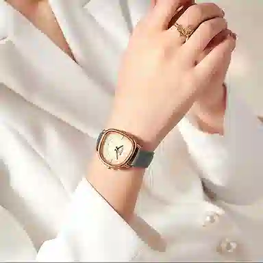JULIUS JL 30 JW1-393B