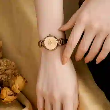 JULIUS JL JW9-25E