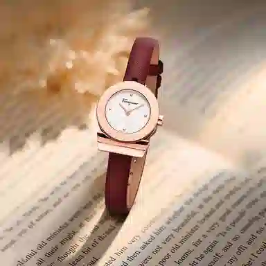 FERRAGAMO SFAT01622