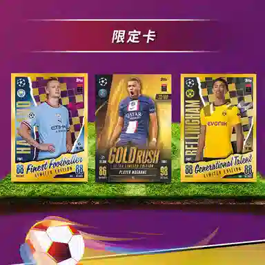 Topps Match Attax 24