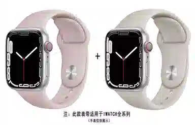 ZS AppleWatch 38*40*41*42*44*45mm AP4003