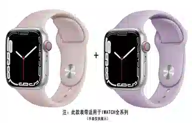 ZS AppleWatch 38*40*41*42*44*45mm AP4003