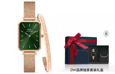 Daniel Wellington QUADRO 26*20mm W445C003