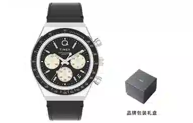 Timex Q Series TW2V42700