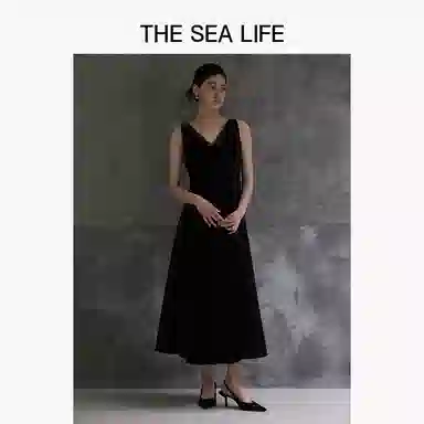 THE SEA LIFE 2025V