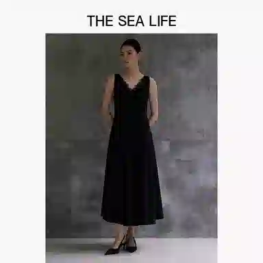 THE SEA LIFE 2025V