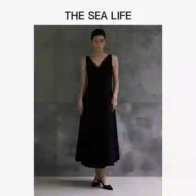 THE SEA LIFE 2025V