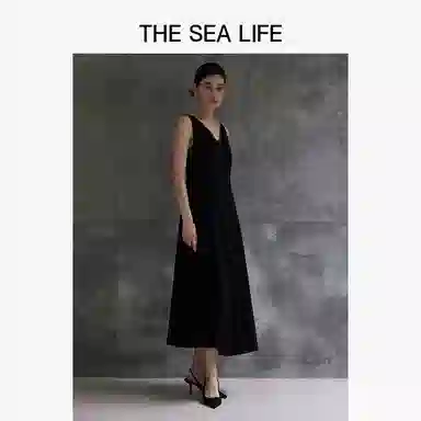 THE SEA LIFE 2025V