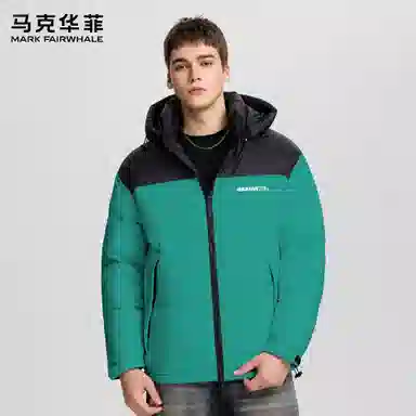FAIRWHALE Logo90
