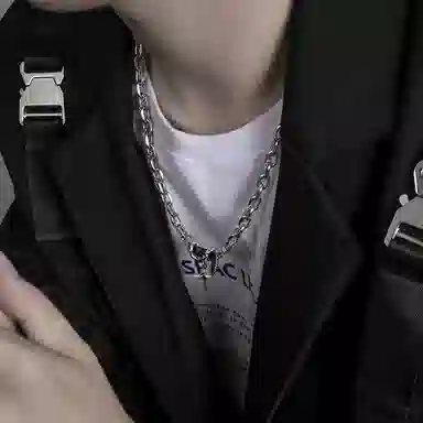 琅风 嘻哈时尚暗黑骑士潮酷 钛钢 项链 男款