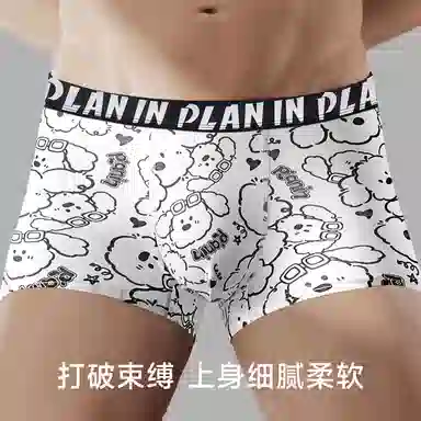 PLAN IN 1