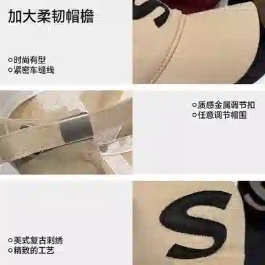 PLAN IN S