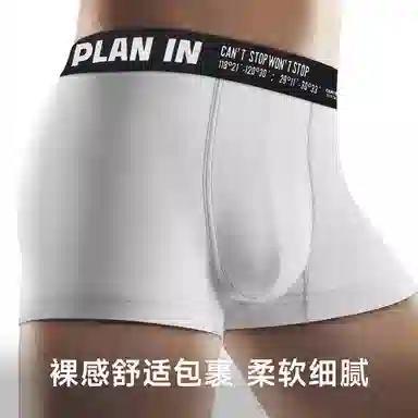 PLAN IN