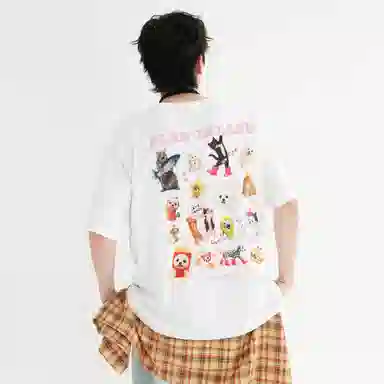 PLAN IN T