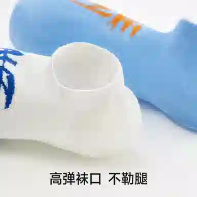 PLAN IN HAVEFUN 6