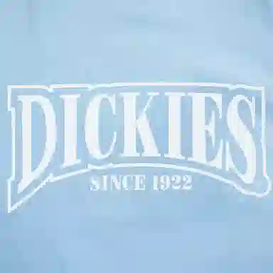 DickiesT