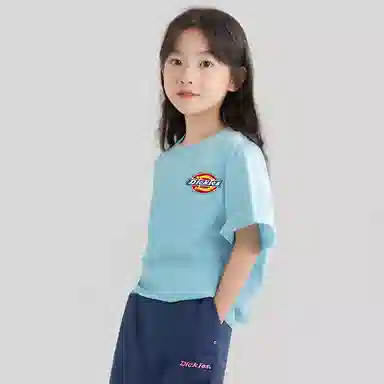 DickiesT