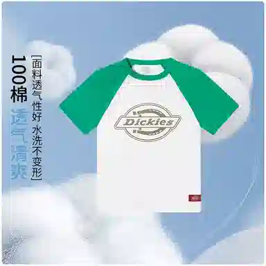 DickiesT