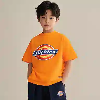 DickiesT