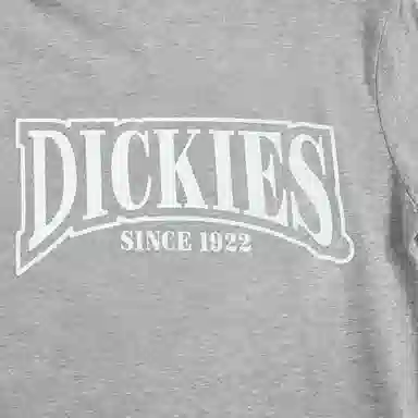 DickiesT