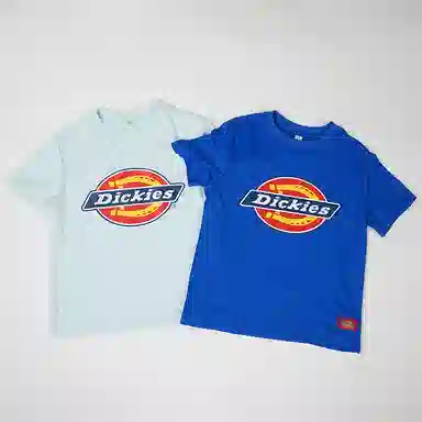 DickiesT