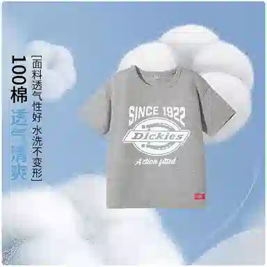 DickiesT