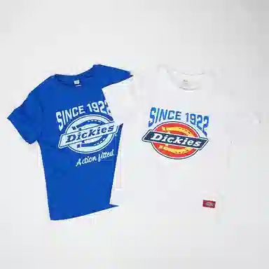 DickiesT