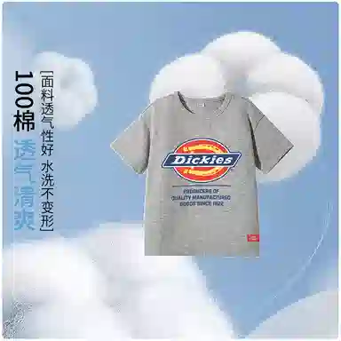DickiesT