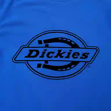 DickiesT