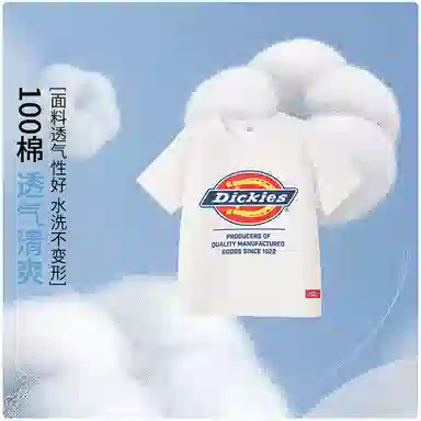 DickiesT