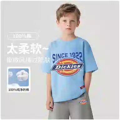 DickiesT
