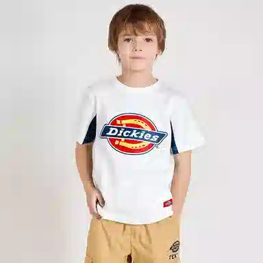 DickiesT