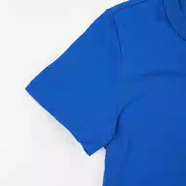 DickiesT