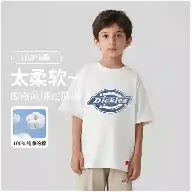 DickiesT