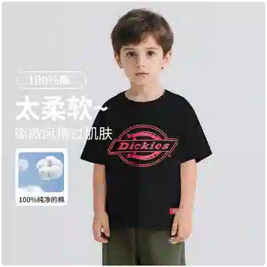 DickiesT