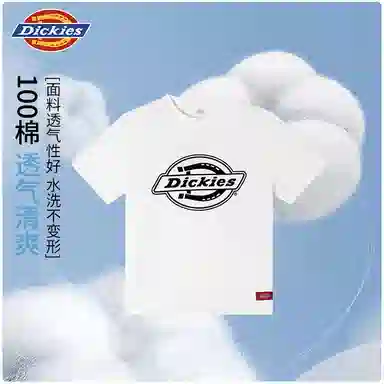 DickiesT